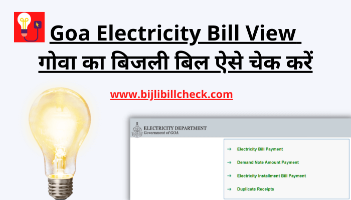 goa-electricity-bill-view